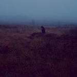 Screen Shot 2019-11-02 at 2.50.39 AM