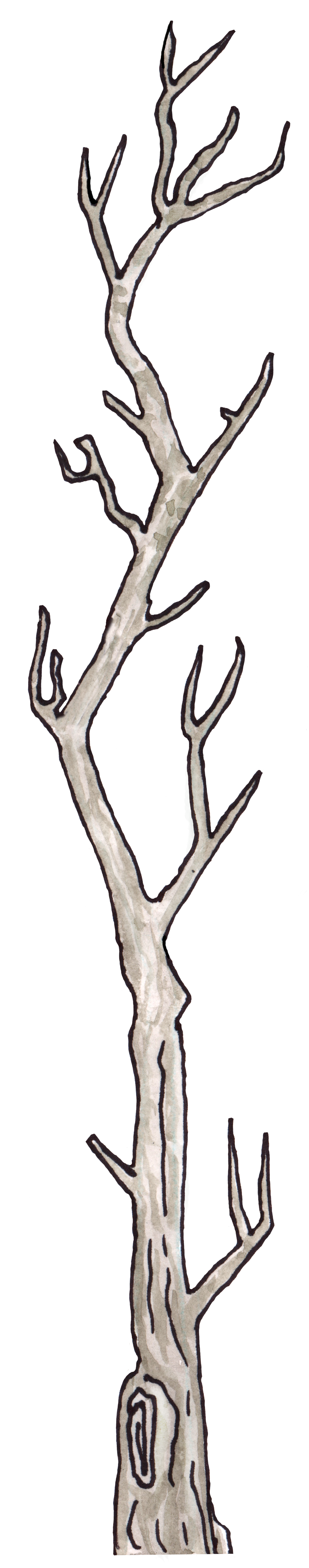 Branch-left