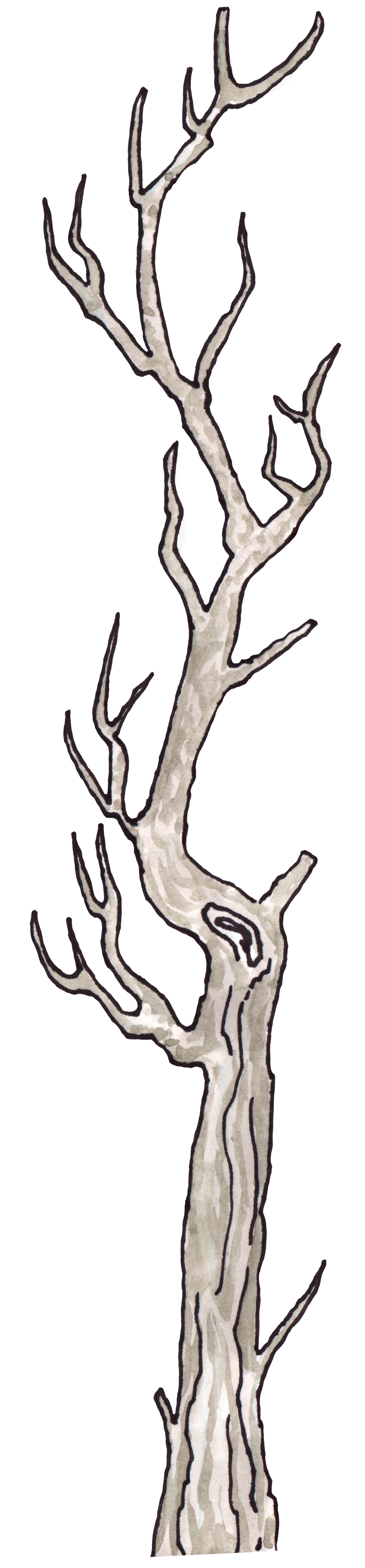 Branch-left